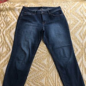 1822 Adrianna Skinny Jeans